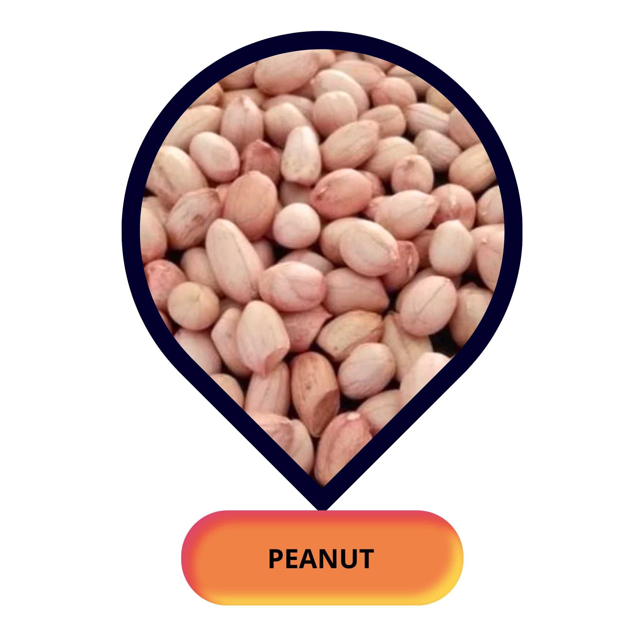 Peanut